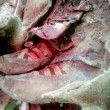 Mummia di 1500 anni fa con scarpe Adidas. Viaggi nel tempo?01