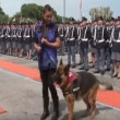 Cane poliziotto giura di essere fedele al padrone2