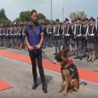 Cane poliziotto giura di essere fedele al padrone