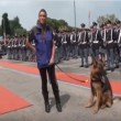 Cane poliziotto giura di essere fedele al padrone5