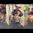 Cane ritrova padrone, la sua reazione2