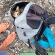Liz Clark e la sua gattina in barca in giro per il mondo FOTO 4