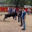 Toro corre intorno alle persone ferme4