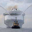 Harmony of the Seas, la nave da crociera più grande del mondo03