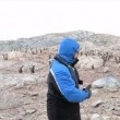 VIDEO Tenore canta O sole mio in Antartide ma i pinguini... 4