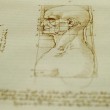 Leonardo da Vinci, caccia al Dna per ricostruire chi era 4