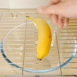 Banana affettata senza coltello ecco come fare 4