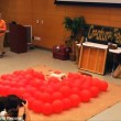 Jack Russell rompe 100 palloncini in 39 secondi2