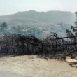 Maxi incendio tra Palermo e Trapani1