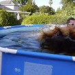 YOUTUBE Mentos e Coca Cola: ecco come creare una Jacuzzi in giardino5