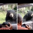 Orso apre porta auto, famiglia a bordo urla terrorizzata3