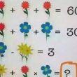 FOTO Indovinello: l'equazione floreale che fa impazzire il web 4