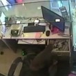 Scimmia ruba soldi dentro una gioielleria4