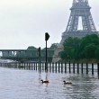 Senna in piena a Parigi, museo Louvre chiude2