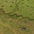 Trincee della prima guerra mondiale ancora visibili VIDEO drone2