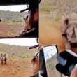 Rinoceronte nero non ama essere fotografato e punta l'auto 3