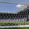 Euro 2016 Francia Irlanda24