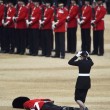 Londra, Guardia sviene per il caldo durante parata per la regina