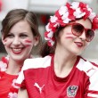 Islanda-Austria streaming e in diretta tv: dove vederla3
