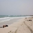 Migranti, naufragio a Creta. Libia, 117 corpi in spiaggia 2