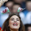 Galles-Irlanda del Nord: diretta live ottavi Euro 2016 su Blitz. Formazioni