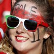 Galles-Irlanda del Nord: diretta live ottavi Euro 2016 su Blitz. Formazioni