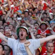 Galles-Irlanda del Nord: diretta live ottavi Euro 2016 su Blitz. Formazioni
