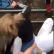 Adolescenti si picchiano, amici intorno le incitano6