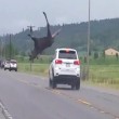 Alce centrato da auto vola in aria 2