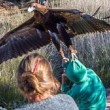 Aquila aggredisce con gli artigli bambino di 7 anni3