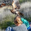 Aquila aggredisce con gli artigli bambino di 7 anni2