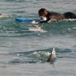 Australia, squalo a riva: surfisti escono di corsa dall'acqua FOTO