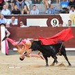 Madrid, torero incornato nella Plaza de Toros6