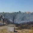 Roma, a fuoco sterpaglie sotto ponte Marconi3