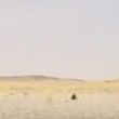 YOUTUBE Caldo record in Arabia Saudita: anche la lucertola cerca l'ombra 3