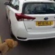 Tassista musulmano al non vedente: "No al cane in auto. Motivi religiosi"3