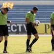 Vespe invadono campo e spalti: partita sospesa in Ecuador4