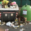 Roma, cinghiali tra l'immondizia a via Cortina d'Ampezzo FOTO
