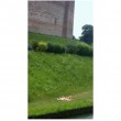 Cittadella: turiste prendono sole in costume, per il web