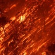 Incendio in California: fiamme e vento, una vittima FOTO2