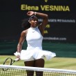 Serena Williams, vestito trasparente e striminzito: si vedono...