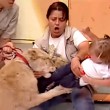 Messico, leone cerca di aggredire bambina in diretta6