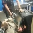 Brasile, polizia trova 11enne nella valigia