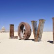 YOUTUBE Burning Man, il festival dove puoi fare quello che vuoi FOTO 3