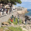Ventimiglia, migranti sfondano confine: a nuoto fino in Francia, occupano scogliera06