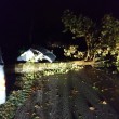 Mirandola (Modena), tromba d'aria nella notte: alberi sradicati FOTO 4