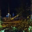 Mirandola (Modena), tromba d'aria nella notte: alberi sradicati FOTO 6