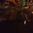 Mirandola (Modena), tromba d'aria nella notte: alberi sradicati FOTO 7