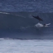 Delfino cade su surfista di 13 anni dopo salto 3