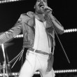 Freddie Mercury, 70 anni fa nasceva la voce dei Queen